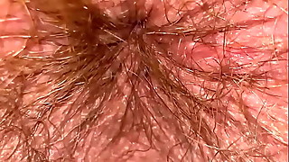 Anal, Ass to Mouth, Big Ass, Clit, Close-up, Extreme, Fetish, Hairy
